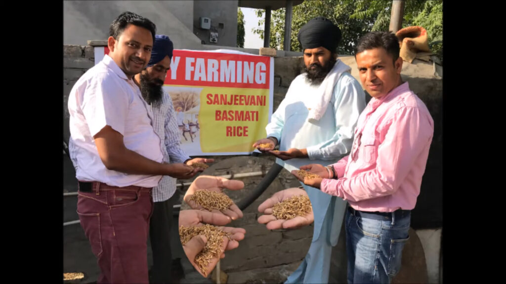 13 Sanjeevani Premium Basmati Rice A Food Product By S.K. Brothers 1 1 1024x576