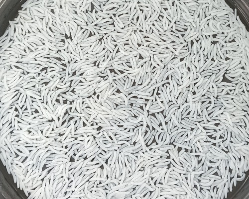creamy sella