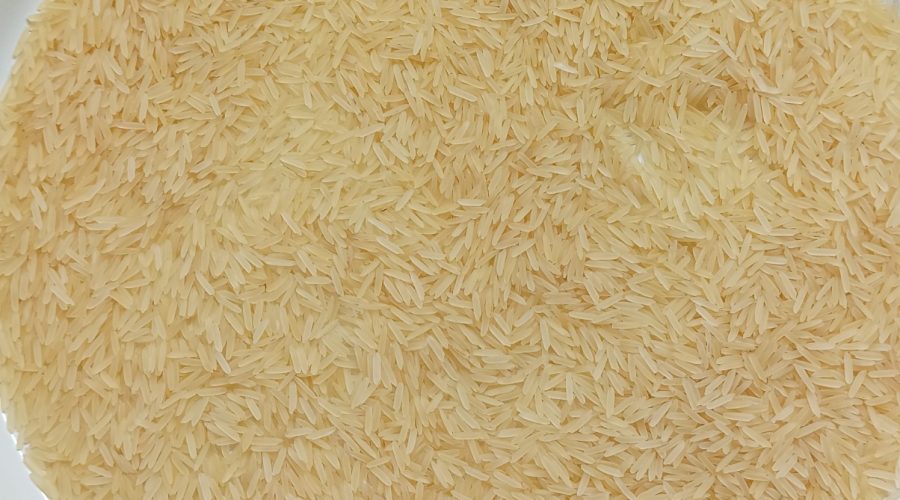 1718 Golden Sella rice