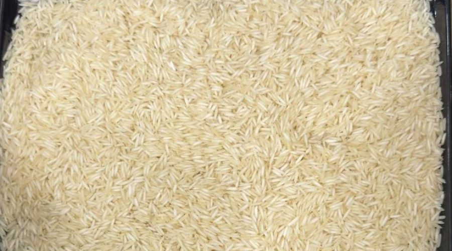 1718 steam rice