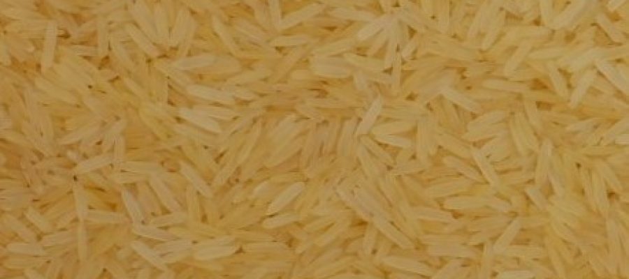 Basmati Sella Golden Eu Compliance Rice
