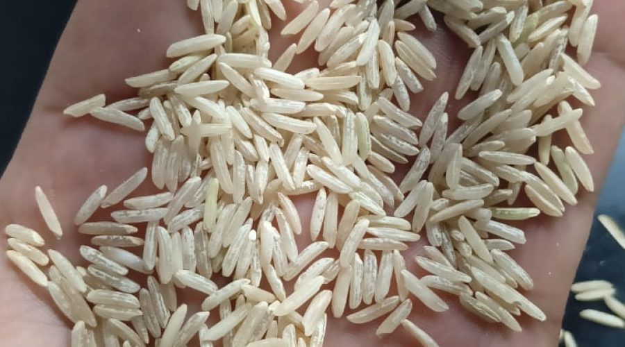 Brown rice